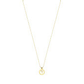 Lantisor aur 14K Copacul vietii DiAmanti PL0540NG14K-AS